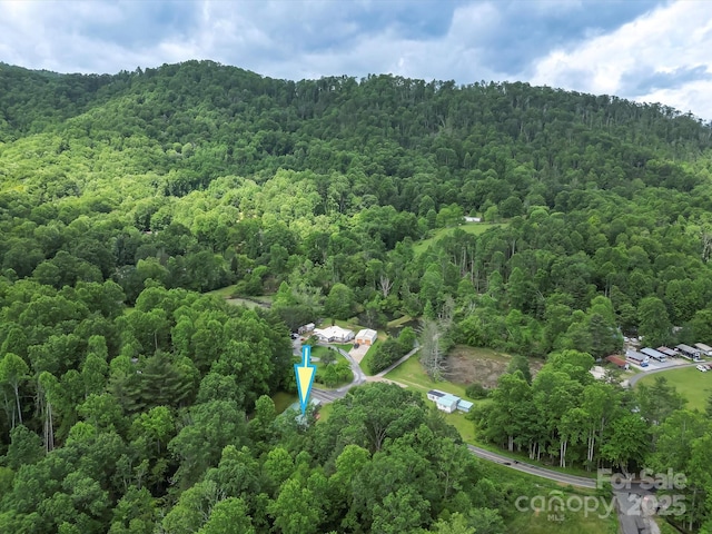 767 Brushy Creek Rd, Spruce Pine, NC 28777 - photo 35