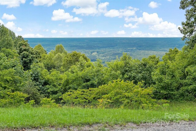2097 Pinnacle Pkwy Unit 14, Union Mills, NC 28167 - water view