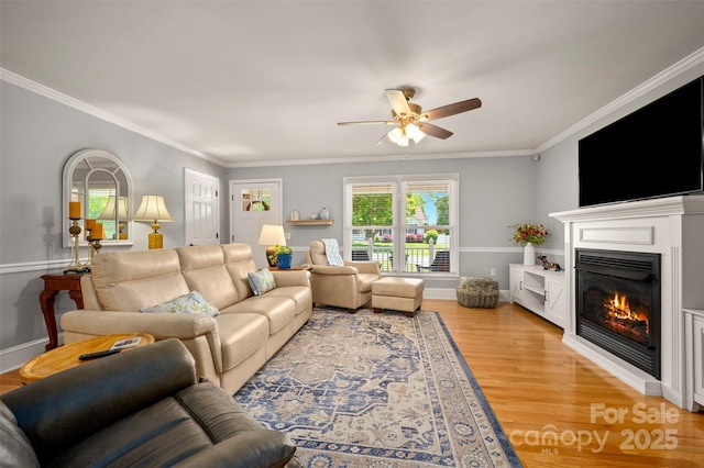 136 Coventry Ln, Forest City, NC 28043 - living room featuring a glass covered fireplace, a ceiling fan, light wood finished floors, and crown molding