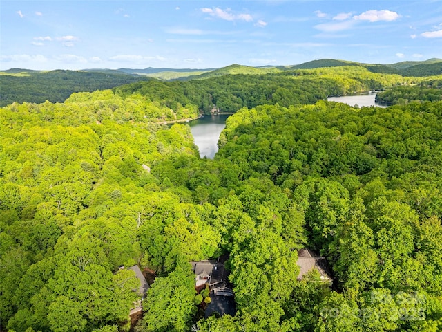 aerial view of a forest and a water and mountain view
