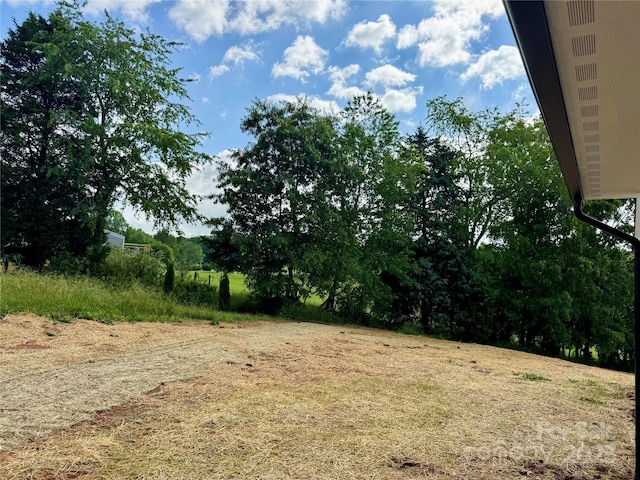 1040 Morlin Acres Dr, Marshall, NC 28753 - view of yard