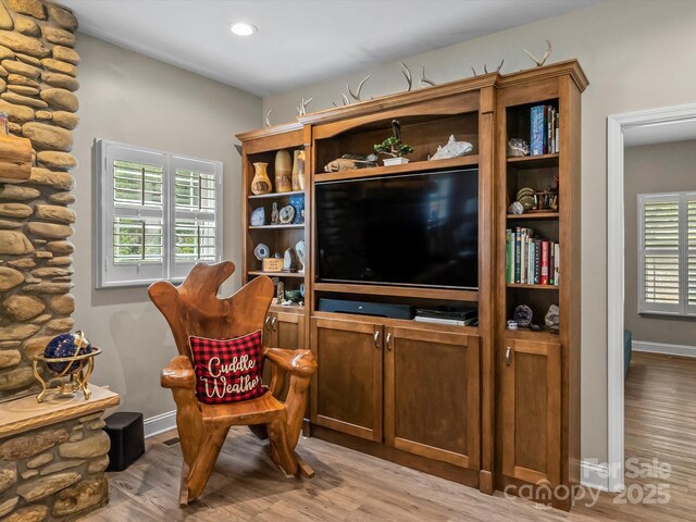 4290 Black Bear Trl, Morganton, NC 28655 - living area featuring light wood-type flooring, plenty of natural light, and baseboards