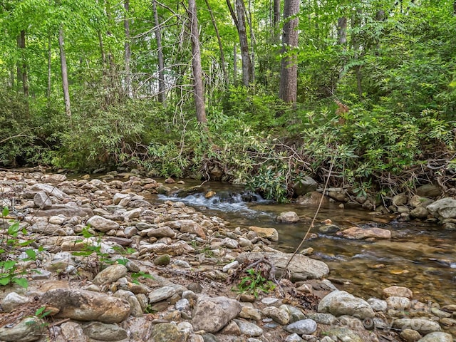 4290 Black Bear Trl, Morganton, NC 28655 - view of nature