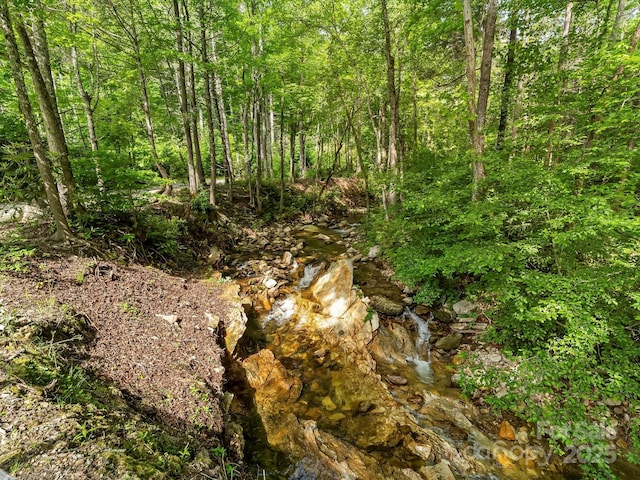 4290 Black Bear Trl, Morganton, NC 28655 - view of wooded area