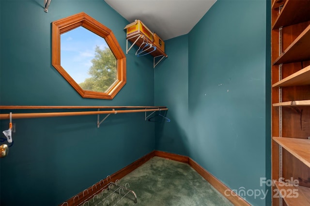 312 Briarwood Dr, Rutherfordton, NC 28139 - walk in closet featuring carpet flooring