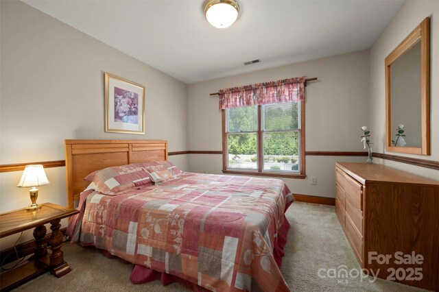 312 Briarwood Dr, Rutherfordton, NC 28139 - bedroom featuring light carpet and baseboards