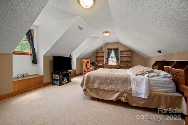 312 Briarwood Dr, Rutherfordton, NC 28139 - bedroom with vaulted ceiling, carpet, a textured ceiling, and baseboards