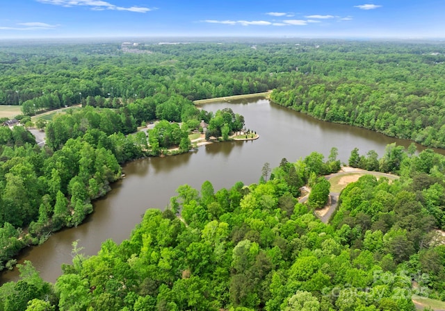 2606 Walker Rd, Matthews, NC 28105 - bird's eye view of a forest and a large body of water