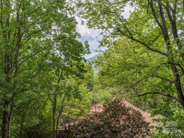 318 Sandsridge Way, Waynesville, NC 28785 - view of wooded area