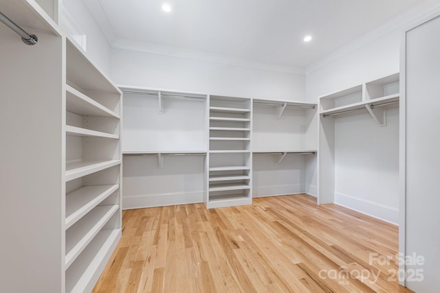 walk in closet featuring wood finished floors