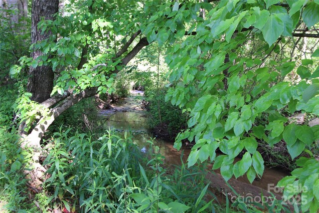 2310 Alfred Hartley Rd, Lenoir, NC 28645 - photo 31