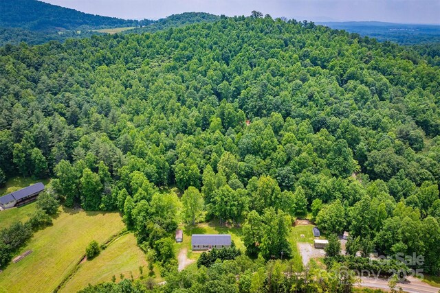 2310 Alfred Hartley Rd, Lenoir, NC 28645 - photo 42