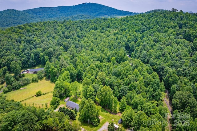 2310 Alfred Hartley Rd, Lenoir, NC 28645 - photo 43