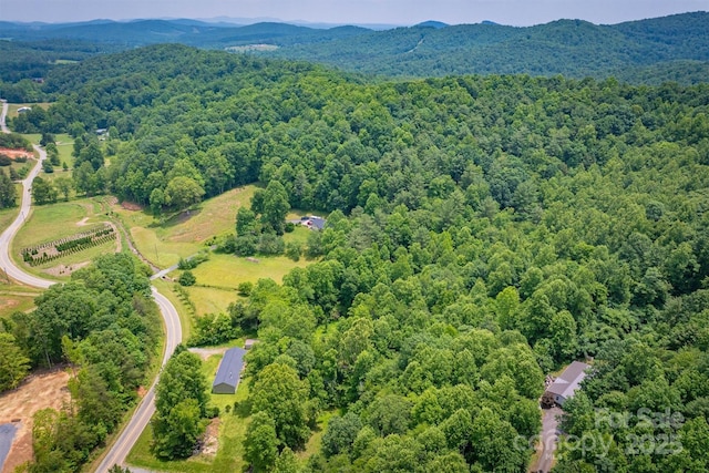 2310 Alfred Hartley Rd, Lenoir, NC 28645 - photo 44