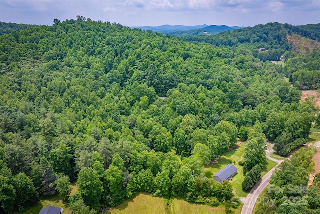 2310 Alfred Hartley Rd, Lenoir, NC 28645 - photo 45