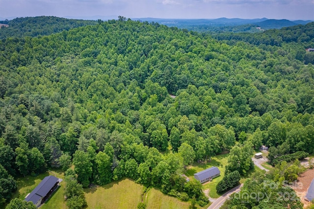 2310 Alfred Hartley Rd, Lenoir, NC 28645 - photo 46