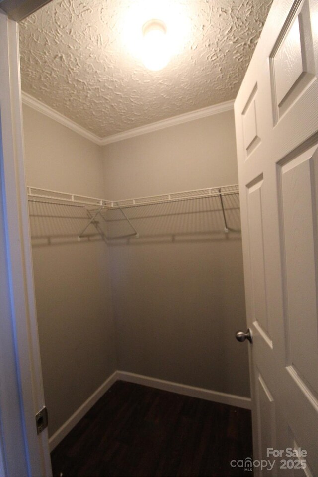 2310 Alfred Hartley Rd, Lenoir, NC 28645 - photo 16