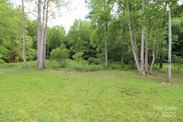 2310 Alfred Hartley Rd, Lenoir, NC 28645 - photo 24