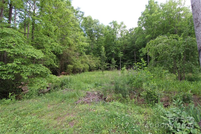 2310 Alfred Hartley Rd, Lenoir, NC 28645 - photo 27