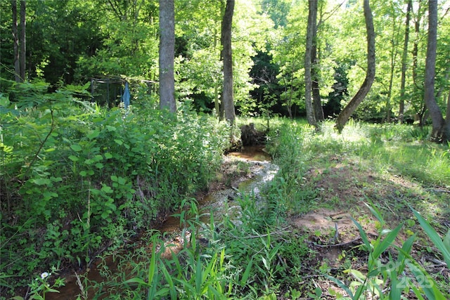2310 Alfred Hartley Rd, Lenoir, NC 28645 - photo 29