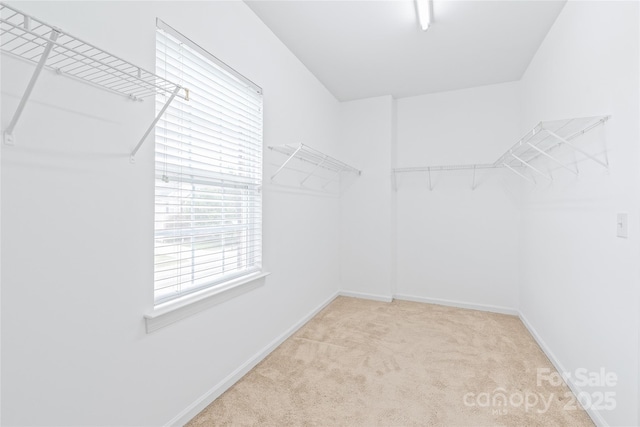 14104 Kendrick Cross Rd, Charlotte, NC 28273 - spacious closet featuring carpet flooring