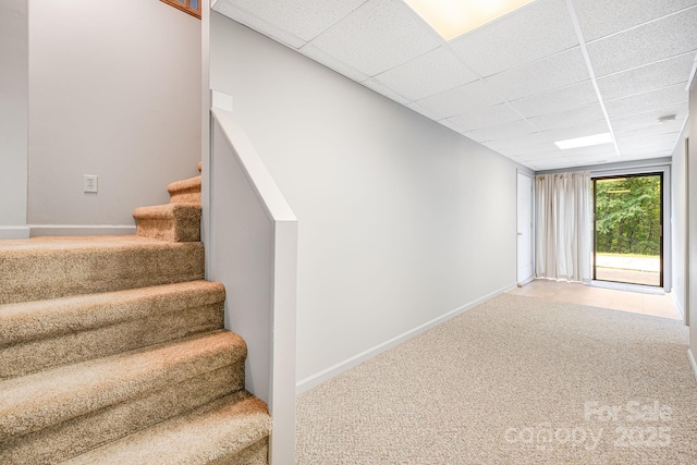 stairway featuring a paneled ceiling, carpet floors, and baseboards