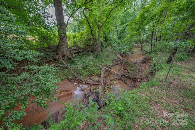 144 Chickasaw Dr, Shelby, NC 28152 - view of wooded area