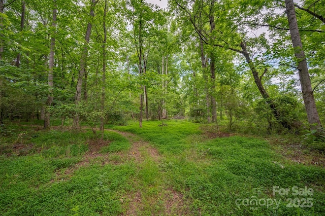 144 Chickasaw Dr, Shelby, NC 28152 - view of yard with a wooded view
