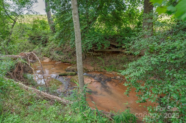 144 Chickasaw Dr, Shelby, NC 28152 - view of nature