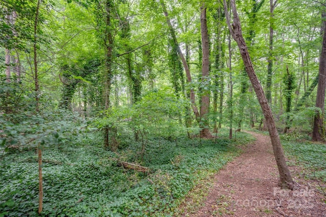 144 Chickasaw Dr, Shelby, NC 28152 - view of tree filled area