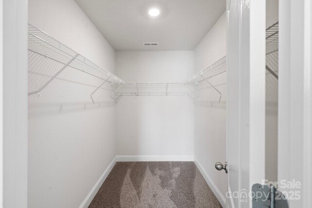 687 Cape Fear St, Fort Mill, SC 29715 - walk in closet featuring carpet flooring