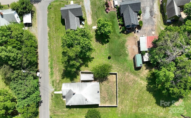 bird's eye view