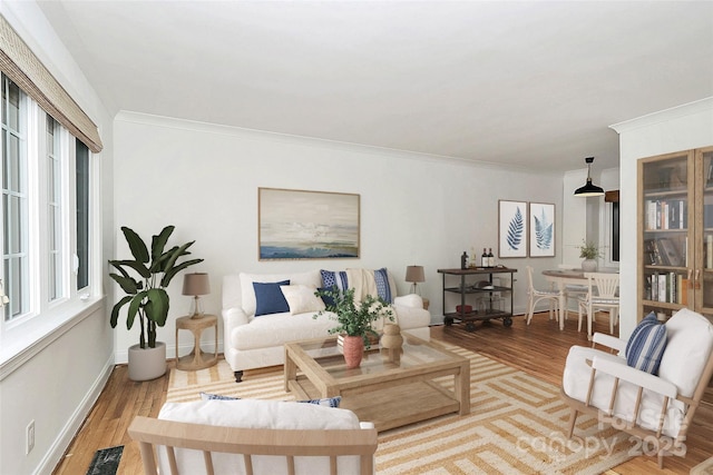 living room with wood finished floors, ornamental molding, and baseboards