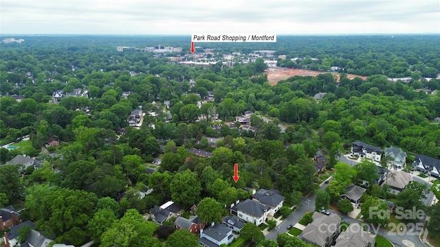 bird's eye view of a forest