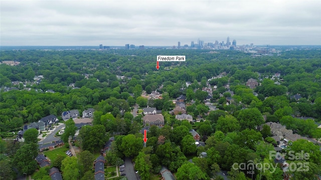 drone / aerial view