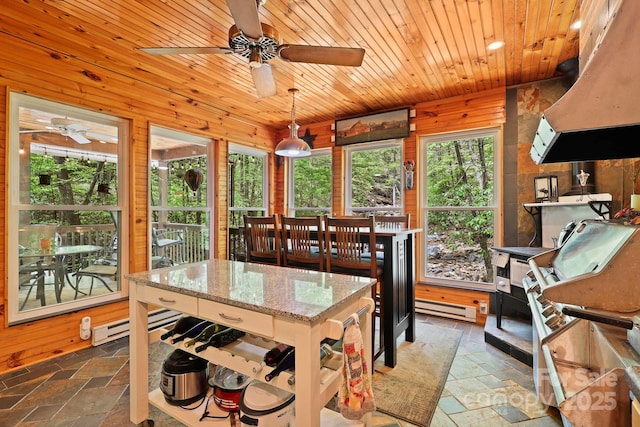 751 Millers Pond Ln, Boone, NC 28607 - dining space featuring stone tile floors, a ceiling fan, baseboard heating, wooden ceiling, and wood walls