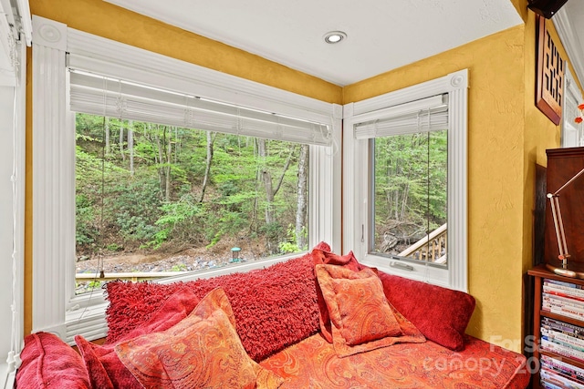 751 Millers Pond Ln, Boone, NC 28607 - sitting room featuring plenty of natural light and recessed lighting