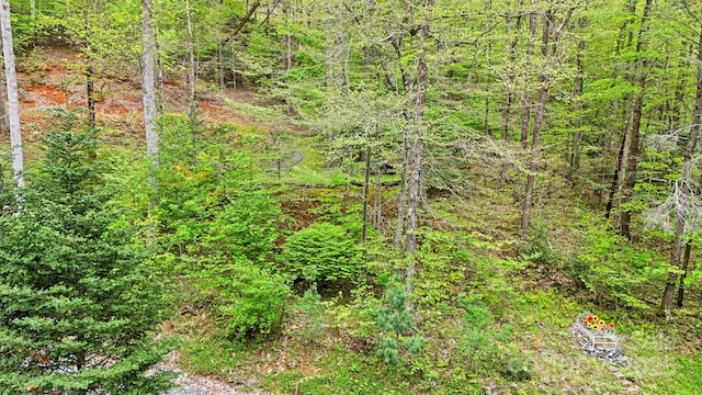 751 Millers Pond Ln, Boone, NC 28607 - view of tree filled area