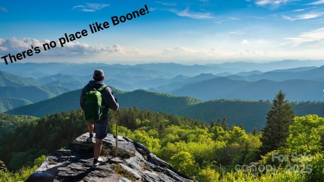 751 Millers Pond Ln, Boone, NC 28607 - mountain view with a heavily wooded area