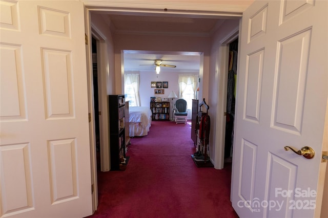120 Powderhorn Dr, Burnsville, NC 28714 - hallway with ornamental molding and dark carpet