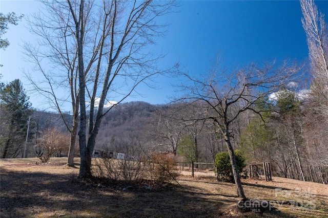120 Powderhorn Dr, Burnsville, NC 28714 - mountain view with a heavily wooded area