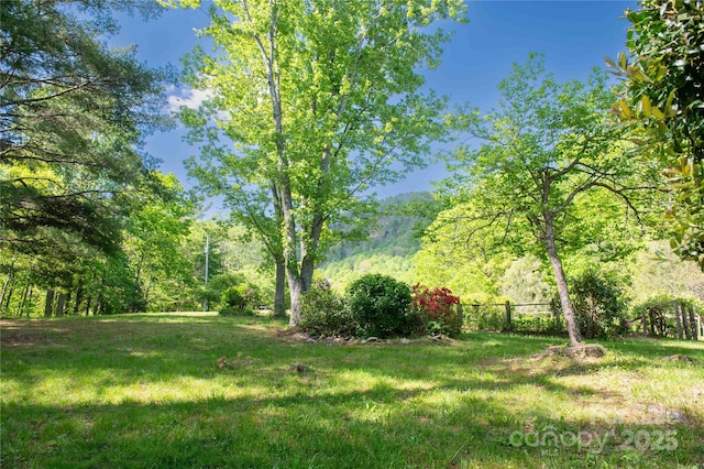 120 Powderhorn Dr, Burnsville, NC 28714 - view of grassy yard with a forest view