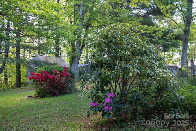 120 Powderhorn Dr, Burnsville, NC 28714 - view of yard featuring an outdoor structure