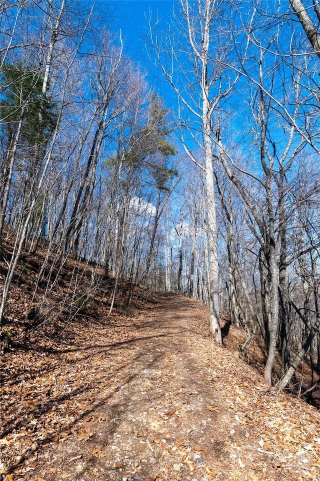 120 Powderhorn Dr, Burnsville, NC 28714 - view of nature