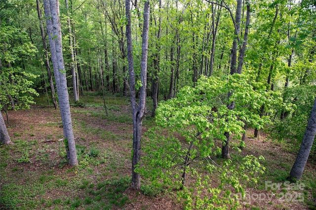 120 Powderhorn Dr, Burnsville, NC 28714 - view of tree filled area
