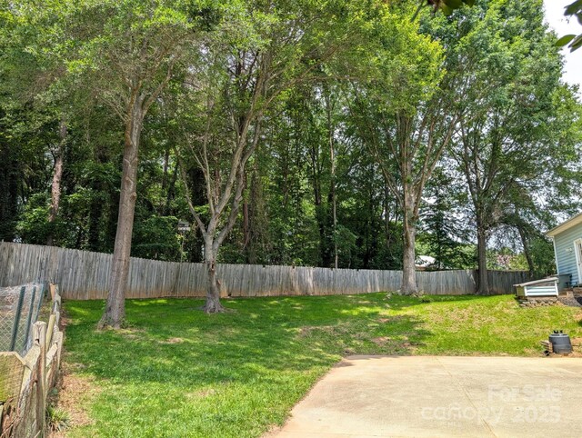 117 Blackberry Ln, Mooresville, NC 28117 - photo 40