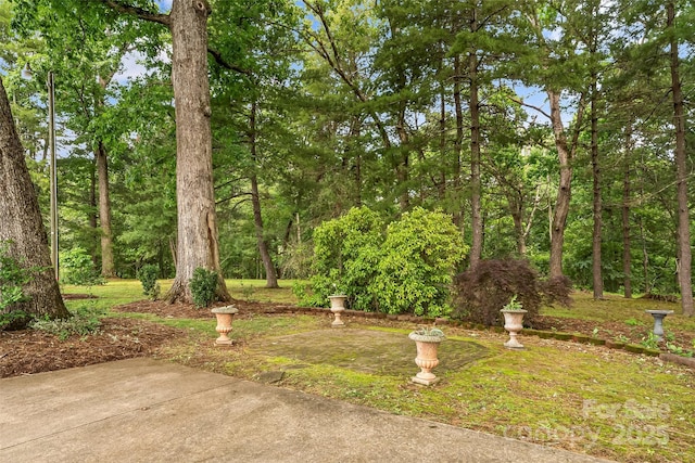 90 Pinewood Rd, Granite Falls, NC 28630 - view of yard