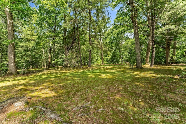 90 Pinewood Rd, Granite Falls, NC 28630 - view of grassy yard