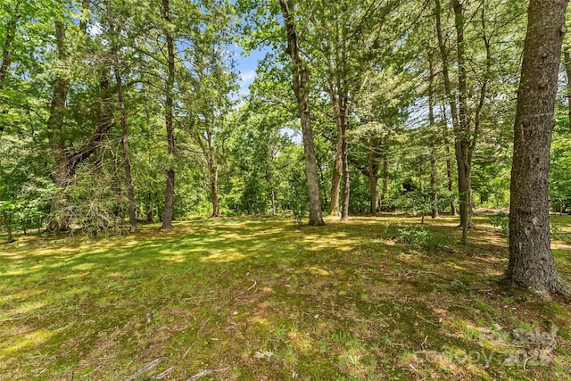 90 Pinewood Rd, Granite Falls, NC 28630 - view of undeveloped land