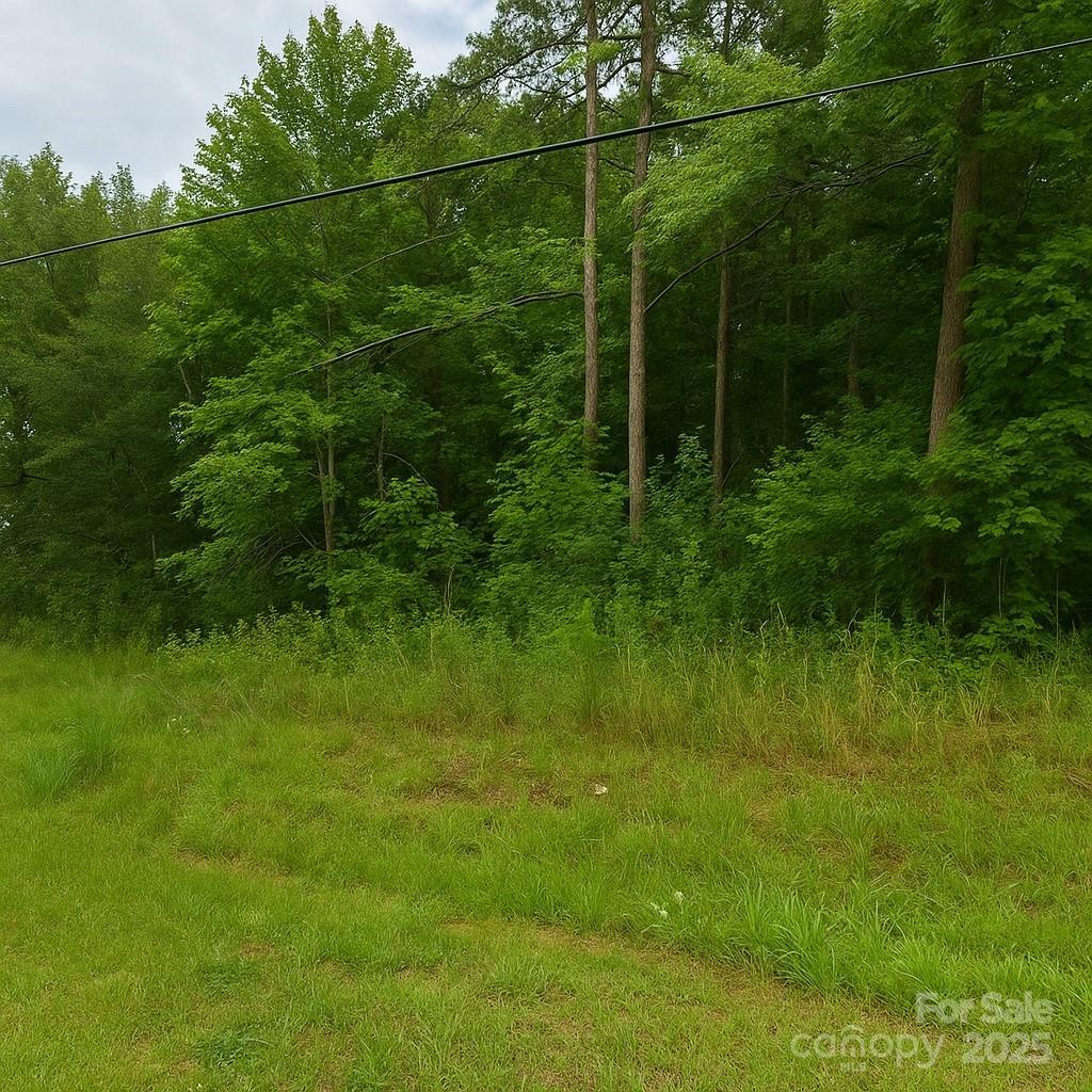 000 Sandy Creek Dr, Gastonia, NC 28052 - photo 3